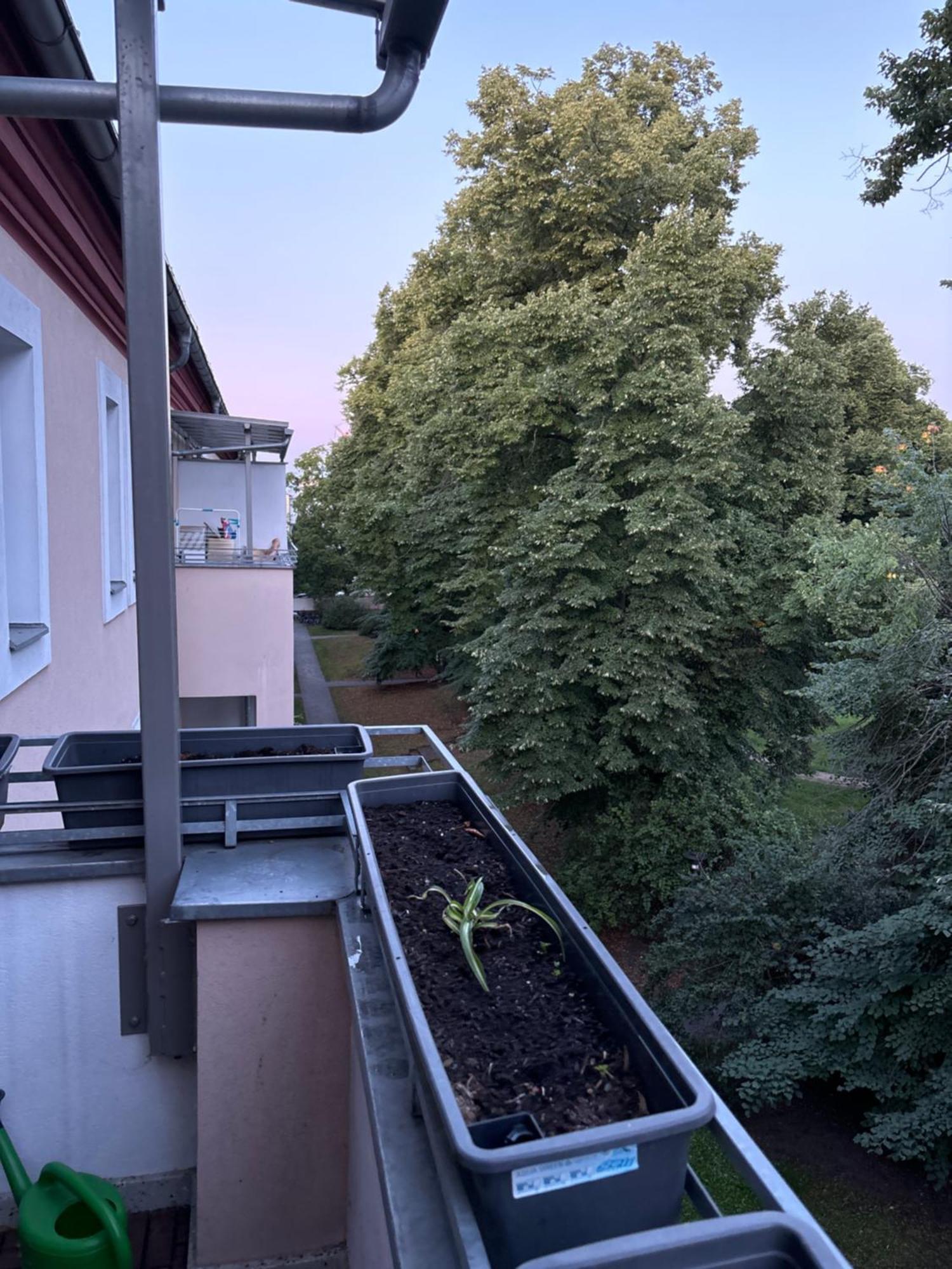 Appartement Furnished Well Equipped 2 In Wedding *